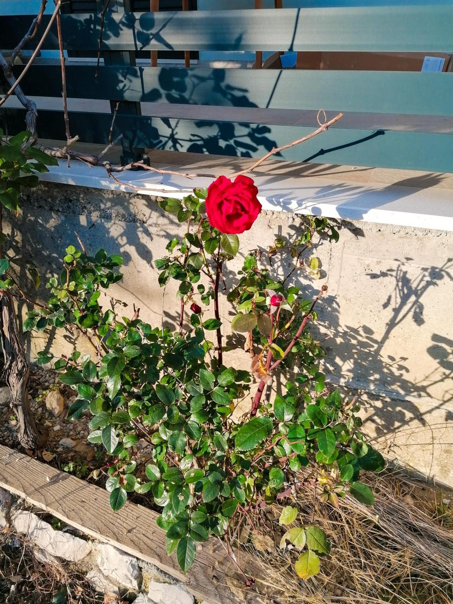 קלק Vila Dolani מראה חיצוני תמונה